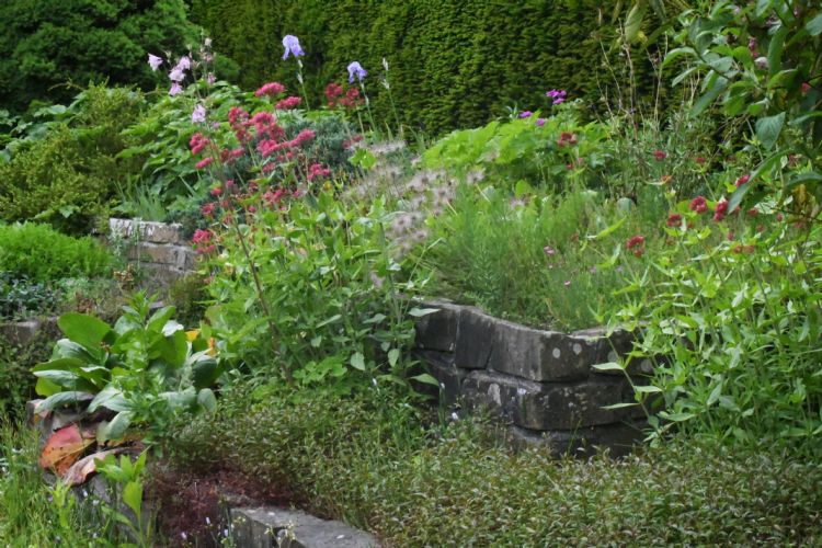 Borders met verschillende niveaus in de Watertuin Borders met verschillende niveaus in de Watertuin