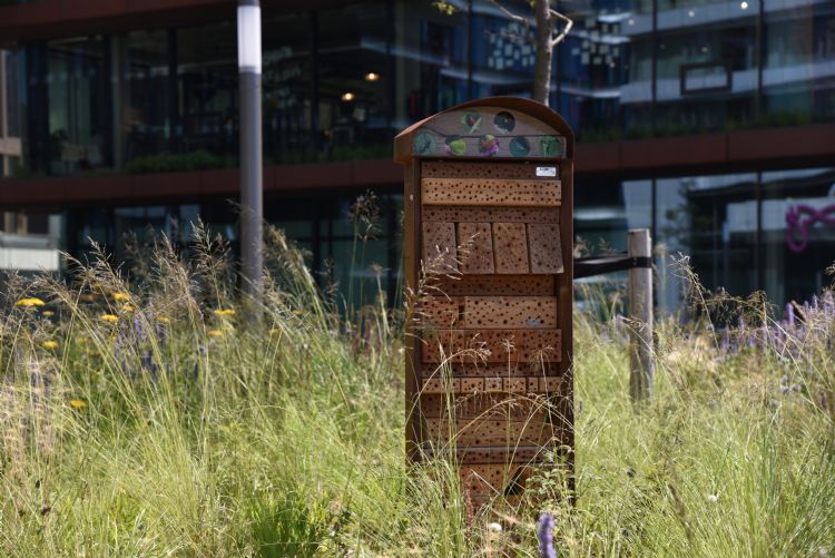 Van het resthout worden insectenhotels gemaakt. Van het resthout worden insectenhotels gemaakt.