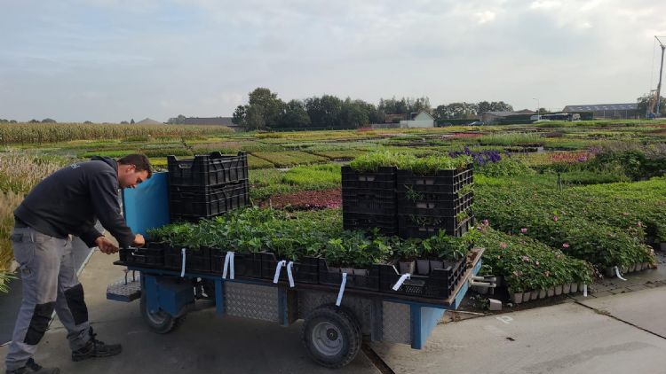 Maurice van Meel: 'We kunnen veel sneller werken met deze karren' Maurice van Meel: 'We kunnen veel sneller werken met deze karren'