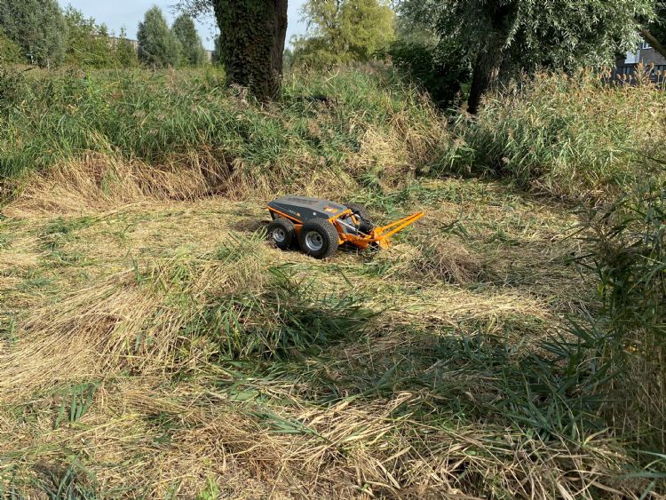De Raymo met messenbalk, verwikkeld in de strijd met een lang gewas. Vermaas ziet uit naar een bandharkje voor de machine. De Raymo met messenbalk, verwikkeld in de strijd met een lang gewas. Vermaas ziet uit naar een bandharkje voor de machine.
