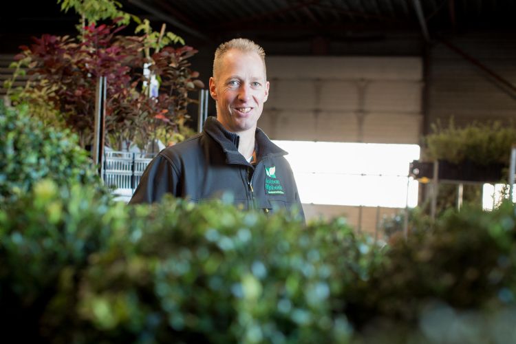 Antoon Rijnbeek: Je kunt Sambucus nigra 'Obelisk' enigszins vergelijken met Sambucus nigra 'Black Tower', al vertakt 'Obelisk' wat beter en is de bladkleur lichter' Antoon Rijnbeek: Je kunt Sambucus nigra 'Obelisk' enigszins vergelijken met Sambucus nigra 'Black Tower', al vertakt 'Obelisk' wat beter en is de bladkleur lichter'