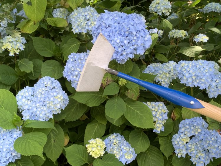 Betuwse schoffel, ook wel ronde schoffel genoemd Betuwse schoffel, ook wel ronde schoffel genoemd