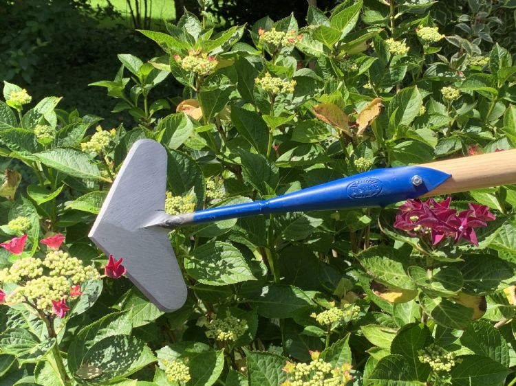 Hartschoffel Hartschoffel