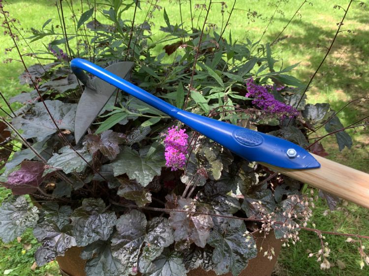 Halvemaanhak Halvemaanhak