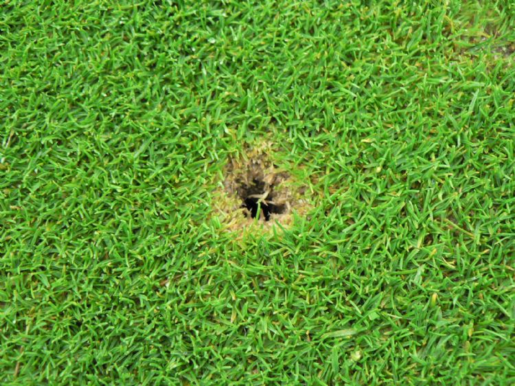 Emeltschade Emeltschade