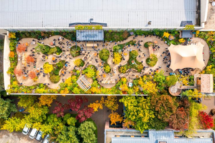 Bovenaanblik van de daktuin Bovenaanblik van de daktuin