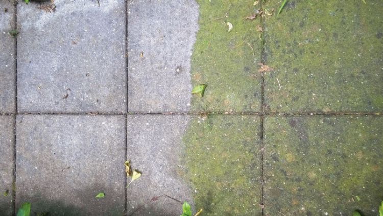 Na behandeling met Enclean (links) blijft de groene aanslag voor een lange periode weg Na behandeling met Enclean (links) blijft de groene aanslag voor een lange periode weg