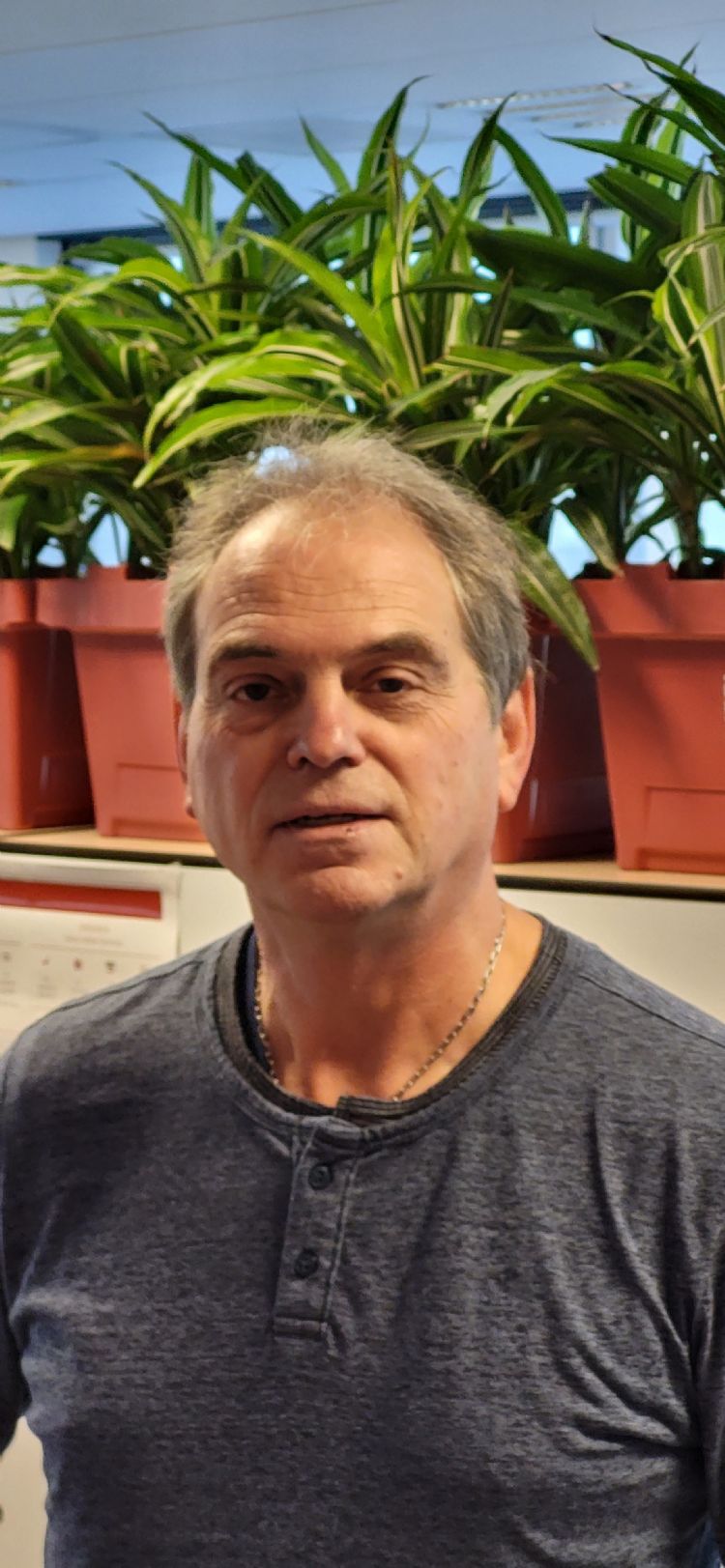 Bert Rosies Bert Rosies