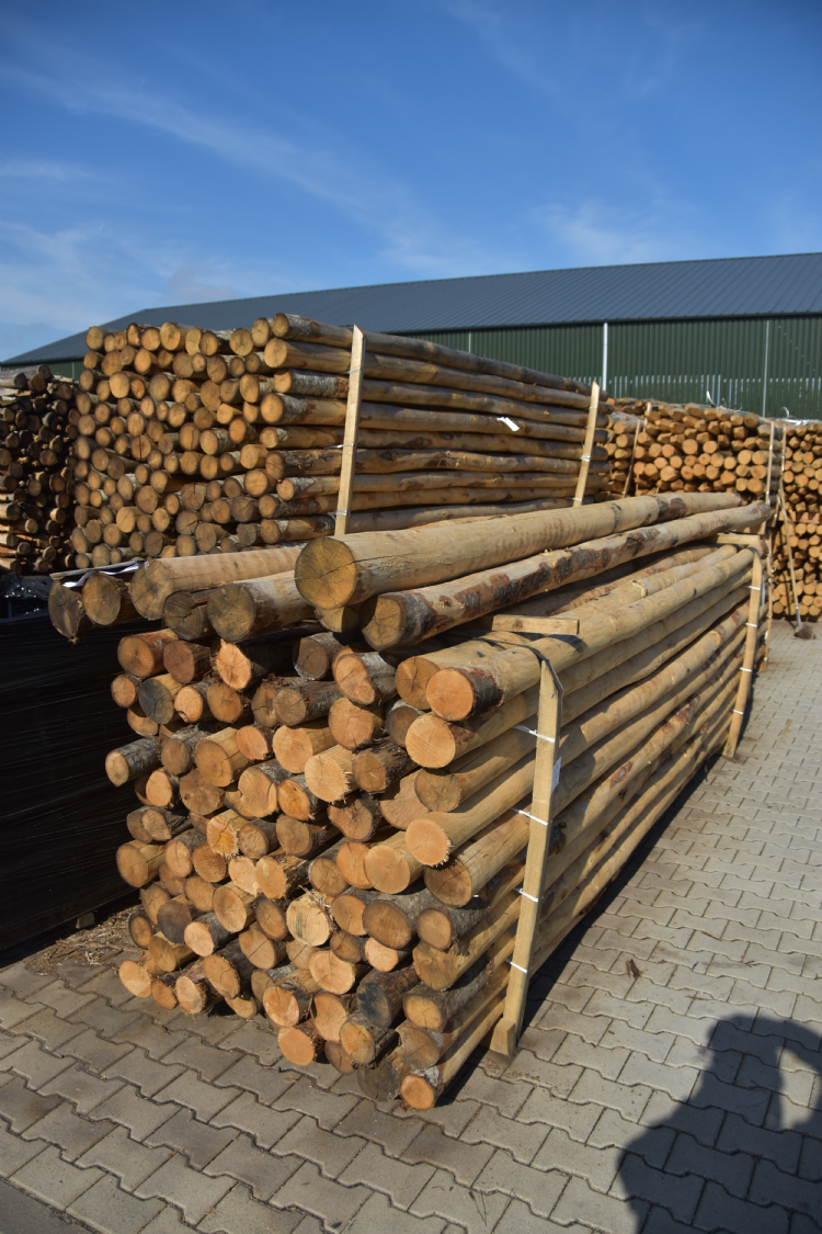 Kwaliteitshout uit Italië van de tamme kastanje Kwaliteitshout uit Italië van de tamme kastanje