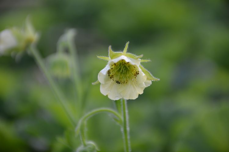 Foto's: Marlien van der Linden Foto's: Marlien van der Linden