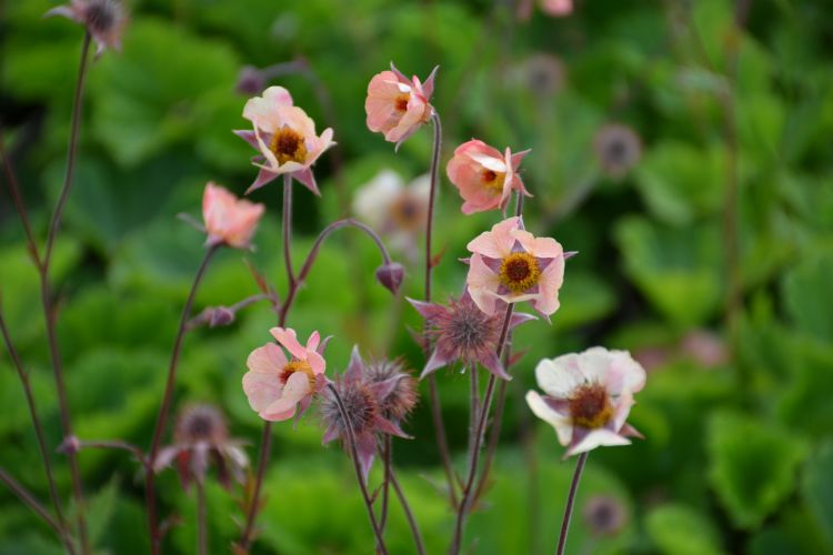 Foto's: Marlien van der Linden Foto's: Marlien van der Linden