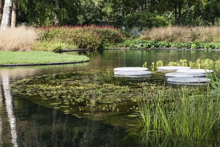 In de zwemvijver liggen stapstenen voor een extra beleving In de zwemvijver liggen stapstenen voor een extra beleving
