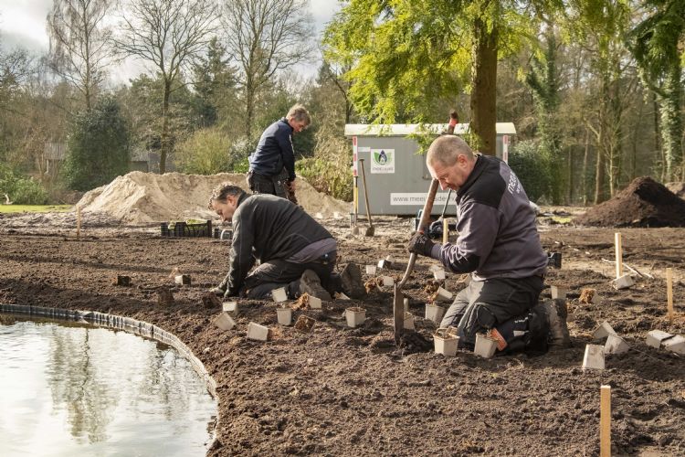 Aanleg van de borders rondom de zwemvijver Aanleg van de borders rondom de zwemvijver