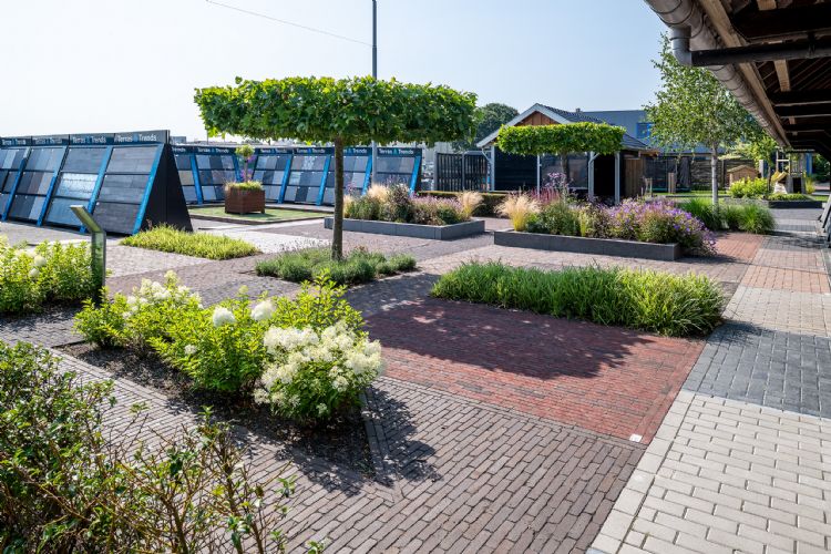 Showtuin Buiter Beton, Balkbrug Showtuin Buiter Beton, Balkbrug