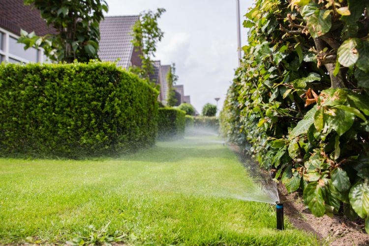 Door de droge lentes en zomers worden beregeningsinstallaties bijna onmisbaar in de tuin. Door de droge lentes en zomers worden beregeningsinstallaties bijna onmisbaar in de tuin.