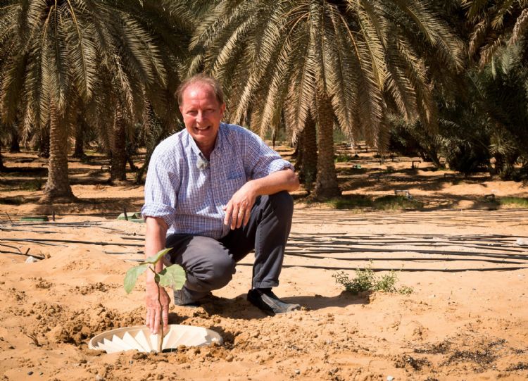 Tot op heden werd de Waterboxx voornamelijk gebruikt in het Midden-Oosten, Afrika en andere droge landen Tot op heden werd de Waterboxx voornamelijk gebruikt in het Midden-Oosten, Afrika en andere droge landen
