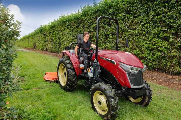 De Yanmar YM359 met neerklapbare rolbeugel is zeer geschikt voor boomkwekers en fruittelers De Yanmar YM359 met neerklapbare rolbeugel is zeer geschikt voor boomkwekers en fruittelers