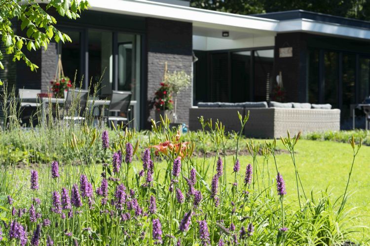 Particuliere tuin - Jonkers hoveniers Particuliere tuin - Jonkers hoveniers