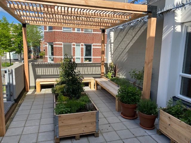 schapenhekjes in de pergola schapenhekjes in de pergola