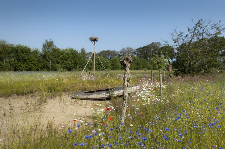 Ooievaarsnest wadi De Heerlyckheid Ooievaarsnest wadi De Heerlyckheid