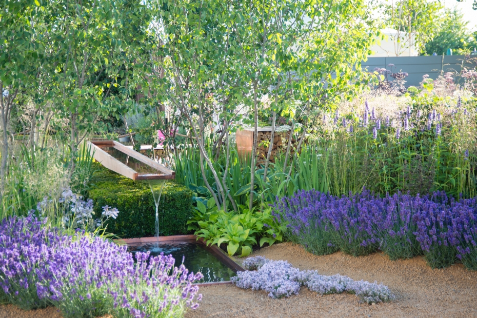 Foto: Hampton Court, Paul Martin Foto: Hampton Court, Paul Martin