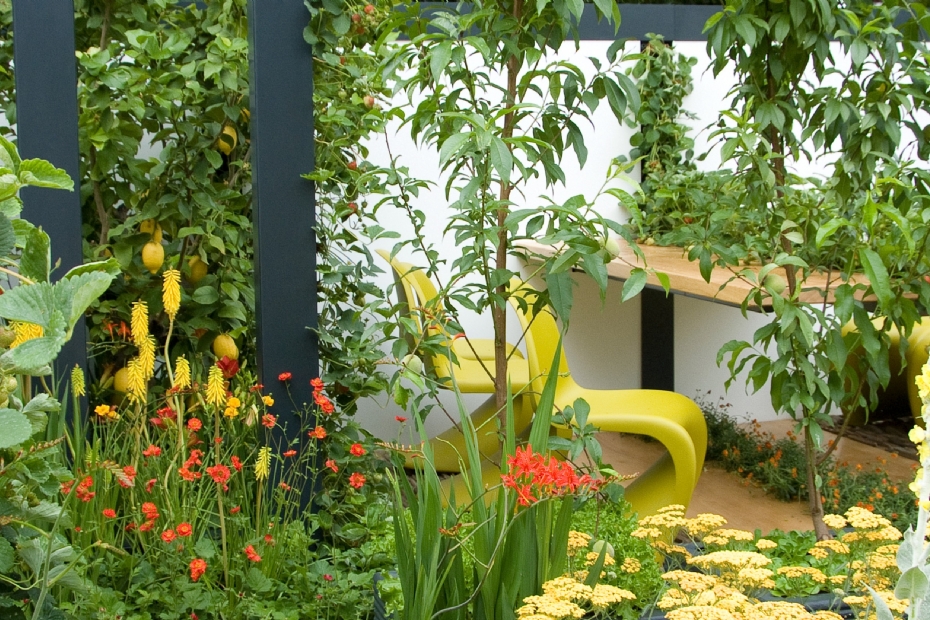 Foto: Hampton Court, Mandy Buckland Foto: Hampton Court, Mandy Buckland