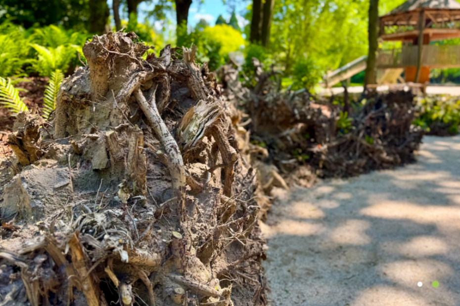 Beeld: Kasteeltuinen Arcen Beeld: Kasteeltuinen Arcen