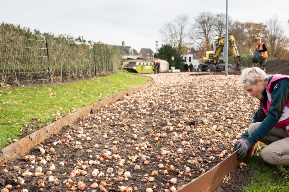 Beeld via: JUB Holland, Fotocredit: Erik Boschman Beeld via: JUB Holland, Fotocredit: Erik Boschman