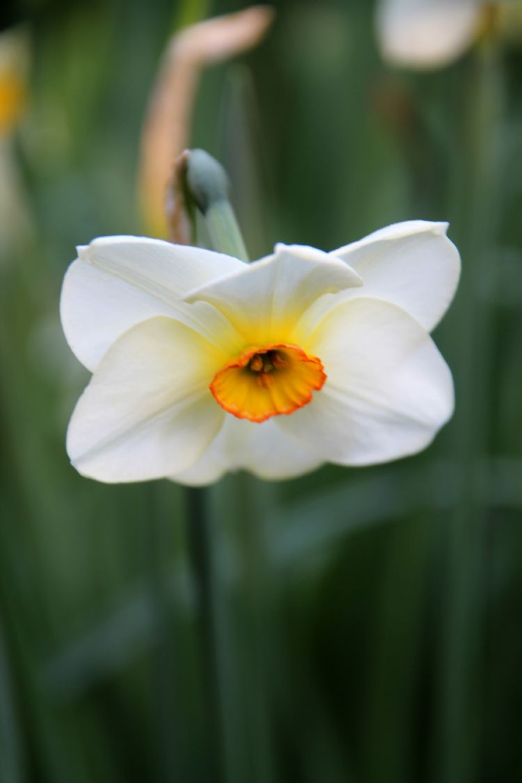 Porno buvim bobomni erkalaydi Mariya Kozhevnikovaning seksual oyoqlari fotosurati