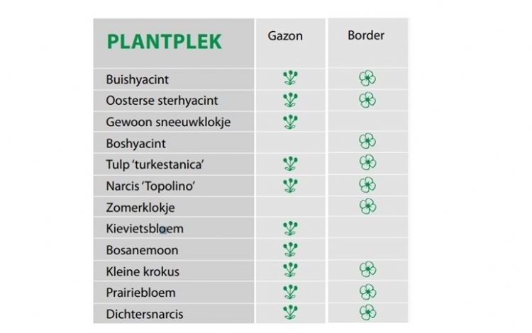 De plek in de tuin waar bovenstaande bollen het best tot hun recht komen