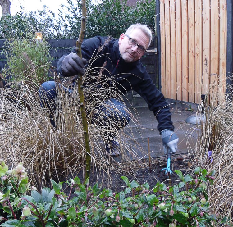 Wilfred van Wieren Wilfred van Wieren