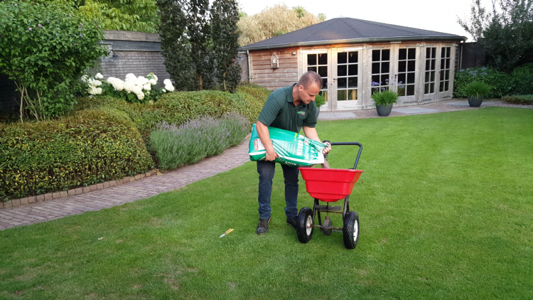 Tweede bemesting van het gazon Tweede bemesting van het gazon