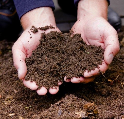 Terra-Actif Terra-Actif