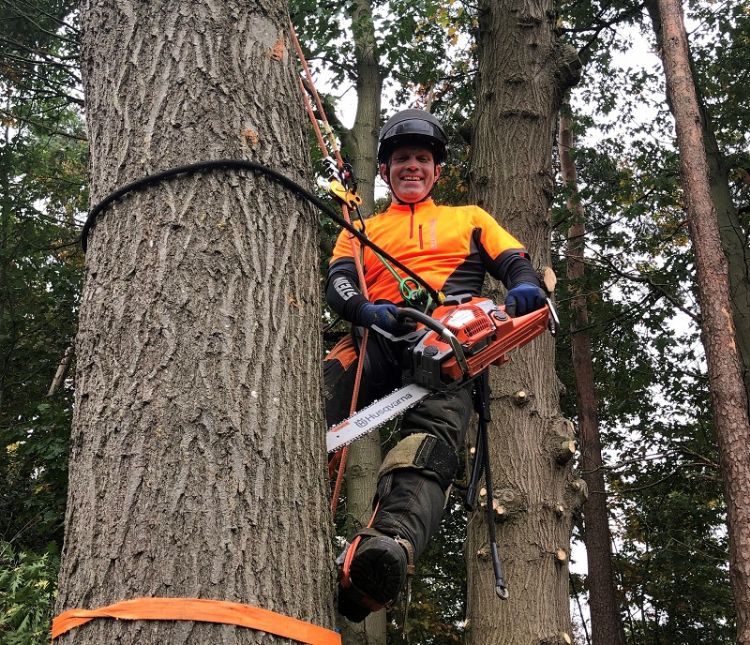 Erik de Groot in de boom Erik de Groot in de boom