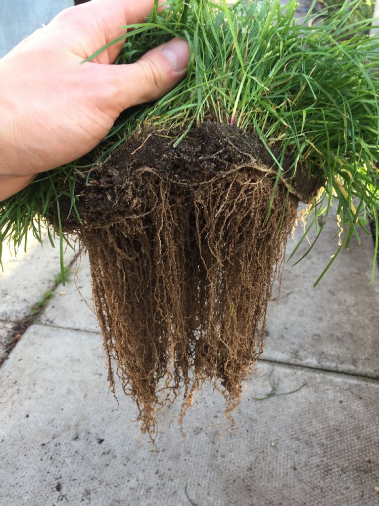 Andere hoogwaardige meststof Andere hoogwaardige meststof