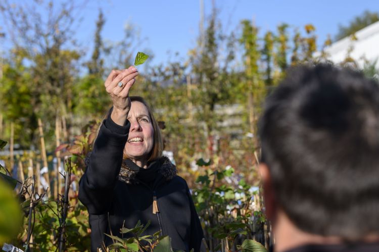 Ingrid van der Ven (links) tijdens buitenles Plantenkennis Ingrid van der Ven (links) tijdens buitenles Plantenkennis