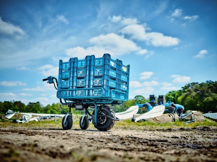 Een rek op het basisframe: populair in de groente- en fruitteelt Een rek op het basisframe: populair in de groente- en fruitteelt