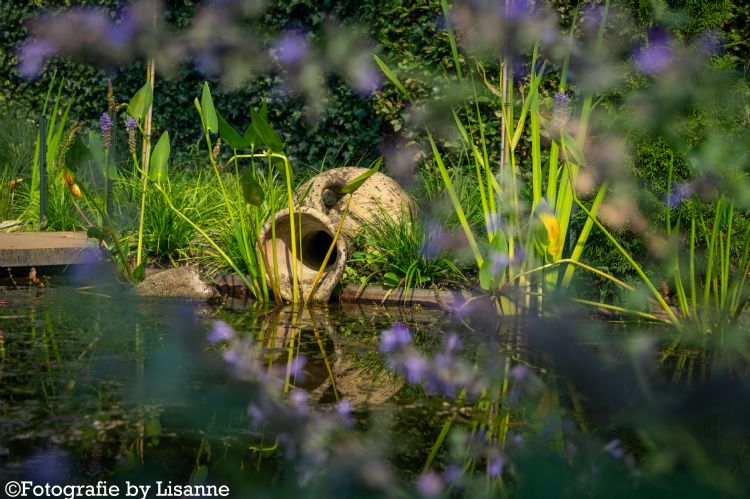 Tuinimpressie Tuinimpressie