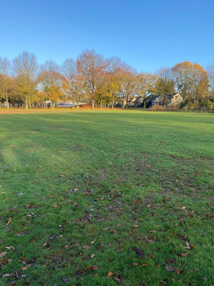 Het losse, dode materiaal moet uit de grasmat gehaald worden om het gazon goed de winter in te laten gaan. Het losse, dode materiaal moet uit de grasmat gehaald worden om het gazon goed de winter in te laten gaan.
