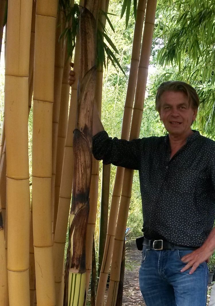 Jos van der Palen, Kimmei