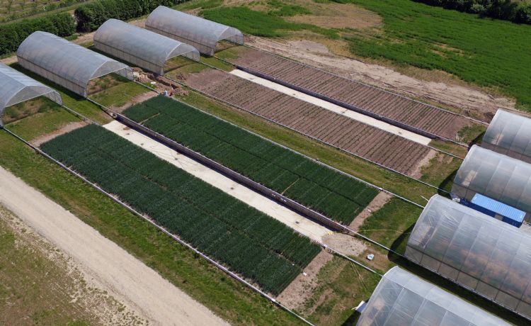 Bij het RadiMax-project wordt gebruikgemaakt van een monitoringsfaciliteit bij de Universiteit van Kopenhagen en van een <i>high-performance</i> computercluster bij de Universiteit van Aarhus. Bij het RadiMax-project wordt gebruikgemaakt van een monitoringsfaciliteit bij de Universiteit van Kopenhagen en van een <i>high-performance</i> computercluster bij de Universiteit van Aarhus.