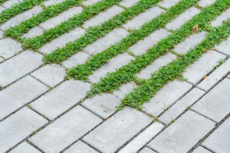 Eco Solutions Combinatieconcept Greenstone & Seasmtone Eco Solutions Combinatieconcept Greenstone & Seasmtone