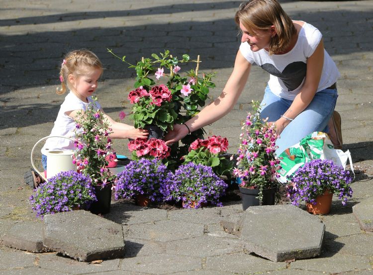 Foto: Groei & Bloei