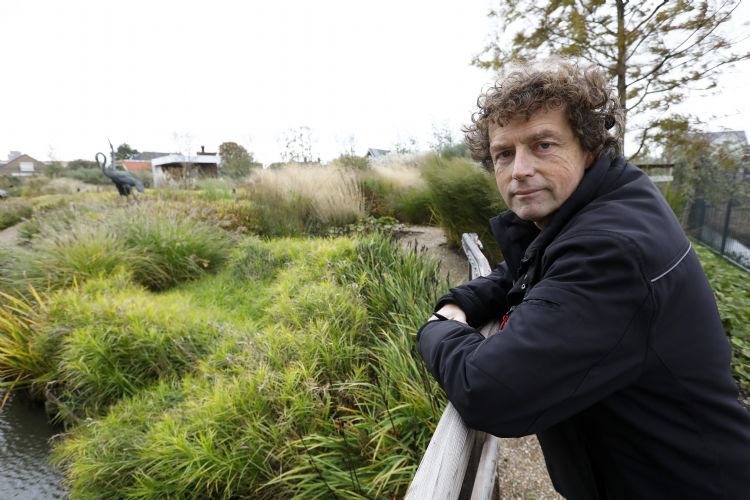 Cock Diemel Cock Diemel