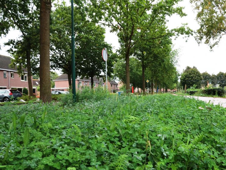 Toepassing Staygreen 2 EPR in de bebouwde kom