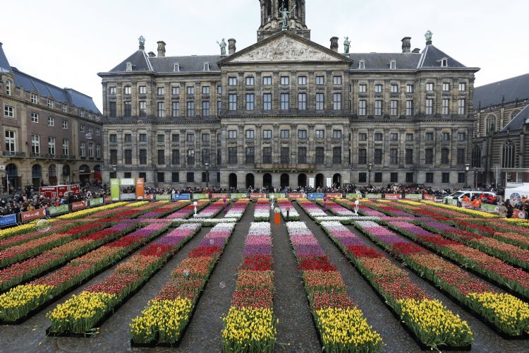 Foto: TPN/Vidiphoto Foto: TPN/Vidiphoto