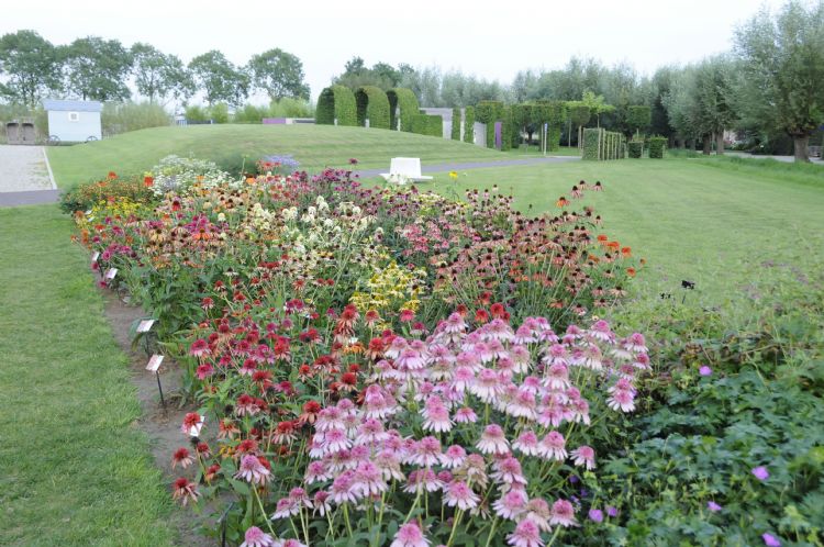 Archieffoto BOOM IN BUSNESS 2012: ISU Proef Tuinen van Appeltern