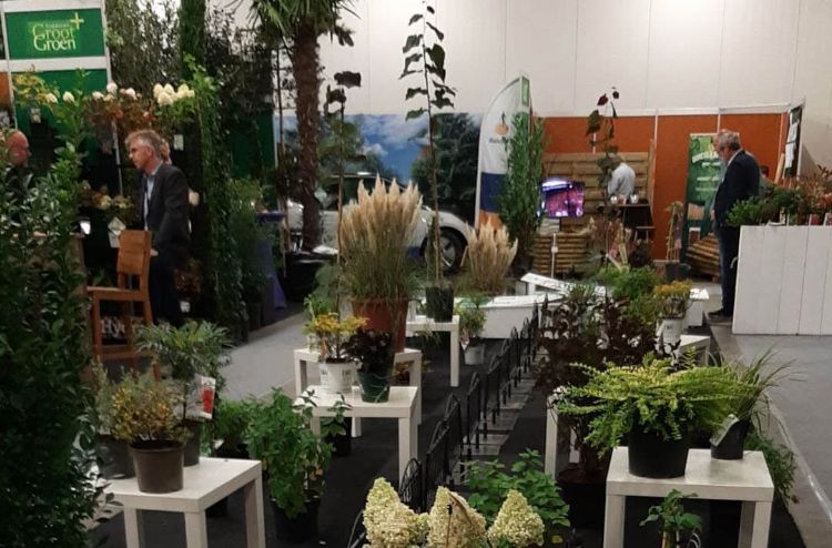 De Roadshow op GGP 2022