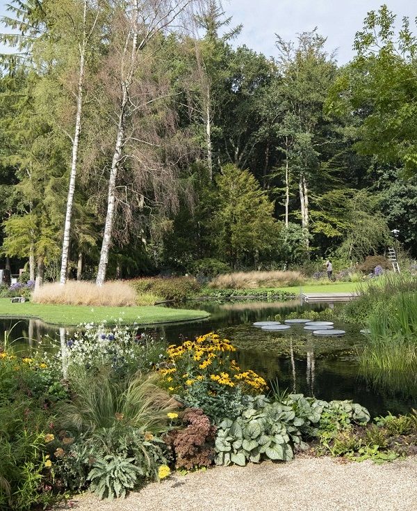 Weelderige borders in organische vormen rondom de zwemvijver