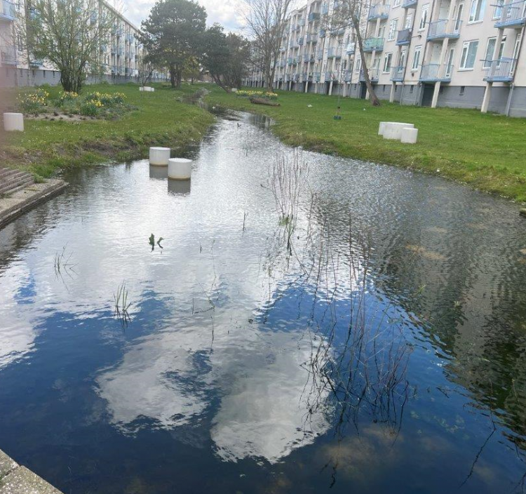 Wadi met betonpoefen Wadi met betonpoefen